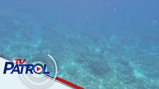 Pagkuha, pagsira ng bahura sa West Philippine Sea, ikinabahala | TV Patrol