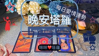 晚安塔羅⭐️ 星座每日愛情運勢⭐️咪咪❤️塔羅 Love Tarot Daily⭐️next 24 hr