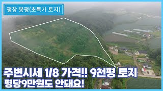 살기좋은 해발700고지 9000평대 평창토지! 이보다 싼 토지는 없어요 I 접근성 좋은 요지중의 요지로 기본 토목공사가 되어있어 개발에 용이합니다