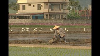 【農再條例】農村的生存遊戲｜再生的爭議 (公共電視 我們的島第494集 2009-02-23)