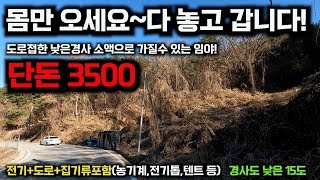 몸만 오세요 다놓고 갑니다~도로접한 평지같은 낮은경사 임야 단돈 3500만원 전기+도로 집기류몽땅 포함 소액으로 가질수 있는 임야! 경북임야매매 세상사는 부동산