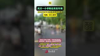 武汉一小学附近发生车祸，目击者称肇事司机试图逃逸但被拦下。事故造成多人受伤，具体伤亡情况和事故原因正在进一步调查中。事发地点警方已封锁，事故处理工作正在进行。