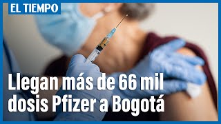 Se confirmó llegada de más de 66.000 vacunas Pfizer al país