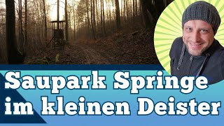 Saupark Springe im Kleinen Deister - Mauerpark Jagdschloss Springe - Deisterklippen Burg Hallermund