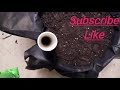 diy cheap wicking bucket wicking bed