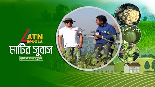 অর্গানিক পদ্ধতিতে সবজি উৎপাদনের কৌশল। Organic method | Vegetable production | Matir Subas |