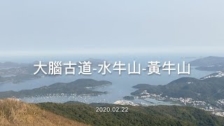 #1 【Suvi仔闖蕩山海】大腦古道 水牛山 黃牛山2020 02 22