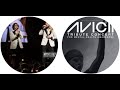 Avicii Tribute Concert   In Loving Memory of Tim Bergling -