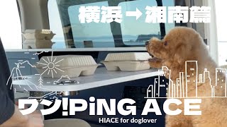 【ワンピングエース】横浜から湘南を愛犬とドライブ！　WebCM「湘南ドライブ」篇