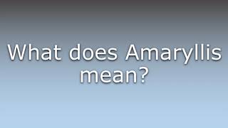 What does Amaryllis mean?