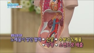 [Happyday] Principle of urine 배뇨장애, '소변의 원리'부터 알아야 한다! [기분 좋은 날] 20160215