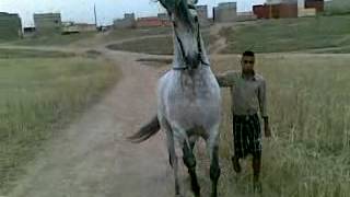 ajmal 7isan ajmal 7isan