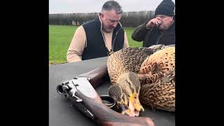 Pheasant and duck shooting part of the day 🦆🦆🦆