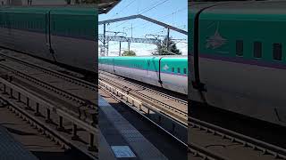 Watch the Bullet Train pass by at 300 km/h and feel Japan's technological prowess!