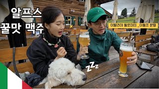 EP3. 이탈리아 돌로미티 여행에서 만난 꿀맛 맥주, 아돌프문켈 트레킹  | 20kg 강아지 유럽여행, 캠핑카 여행