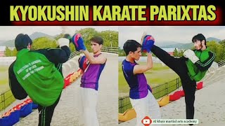 kyokushin karate kick and pancha parixtas