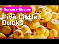 5 Little Ducks with Lyrics | Modern Melody | Plush Monsty Nursery Rhymes & Kids Songs