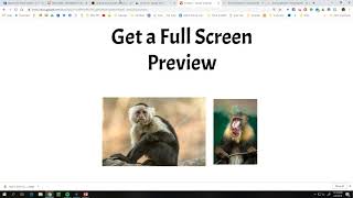 Full Screen Preview in Google Drawings