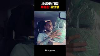 곰돌이 인형의 비밀