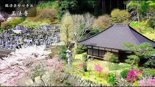 正法寺 【空撮】天空からの華の正法寺 ~埼玉県比企郡ときがわ町~ 2021春