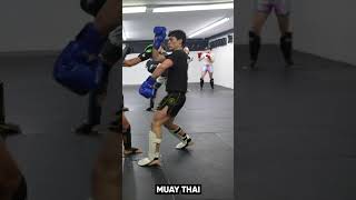 Muay Thai vs Taekwondo Seqeunce IN SPARRING