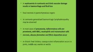 Family Pasteurellaceae   What diseases do Pasteurella Cause   Fowl Cholera