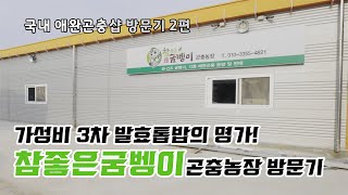 가성비 3차 발효톱밥의 명가! 참좋은굼벵이 곤충농장 방문! 대표님 인터뷰!