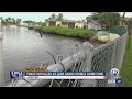 Fence installed at Suni Sands Mobile Home Park