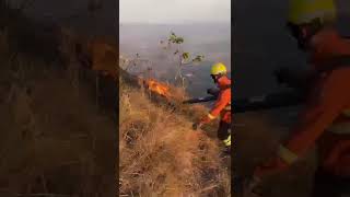 Bombeiros combatem incêndio há cinco dias em Chapada dos Guimarães