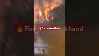 fire in uttarakhand #viralvideo #ytshortsindia