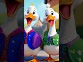 اغنية كاكى كاك 🐣 | اغاني اطفال 🐥 | بيبي | بطة أطا الانتيكا #سوبر_ديدو #اغاني_اطفال #kidsshorts