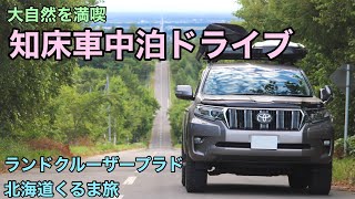 【プラド車中泊旅】北海道が誇る大自然。知床を大満喫の車中泊ドライブ【2021夏北海道くるま旅#8】