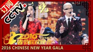 2016 Chinese New Year Spring Festival Gala [Monkey]