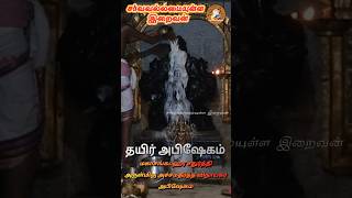 மகாசங்கடஹர சதுர்த்தி ஸ்ரீ அச்சம்தீர்த்த விநாயகர் தயிர் அபிஷேகம் God Almighty #sankataharachathurthi