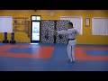 sohng ahm 5 green belt form moves 6 12