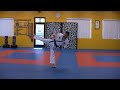 sohng ahm 5 green belt form moves 6 12