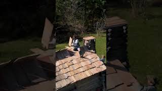 Wood Shingles On A Log Cabin Roof