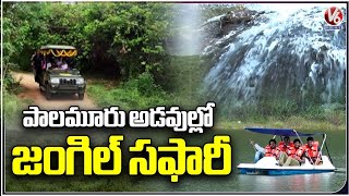 Mayuri ECO Tourism Park  | Jungle Safari In Mahabubnagar | V6 News