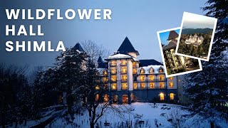 Wildflower Hall Shimla Full Tour | Luxury Resort in the Himalayas 2024 | The BizCrafter