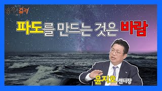 [속깊은대화] 파도를 만드는 것은 '바람' (윤지호) EP-02 / 발칙한경제