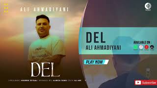 Ali Ahmadiyani - Del  | OFFICIAL AUDIO TRACK علی احمدیانی - دل