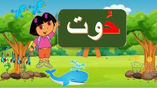 تعليم الاطفال الصغار الحروف الهجائية العربية (حرف الحاء ) مع الحركات فتحة ضمة كسرة | Arabic alphabet