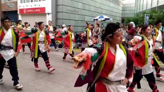 よさこい祭り(高知夜來祭)_風舞輝～fubuki～2016全國大會優秀賞「粋」