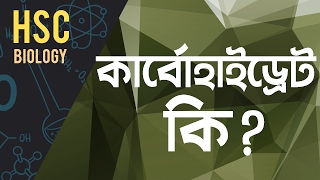 ০১.১৯. অধ্যায় ১ : আদিকোষ ও প্রকৃত কোষের পার্থক্য (Prokaryotic vs Eukaryotic Cell) -  [HSC]