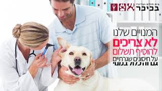 עופר הירשפלד - איך מעניקים לחיית המחמד את הטוב ביותר?