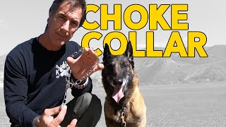 Most Important Things to Know about a Choke Collar - Robert Cabral Dog Training Video