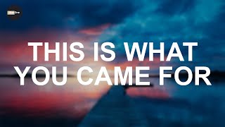 Calvin Harris ft. Rihanna - This Is What You Came For (Lyrics) HD