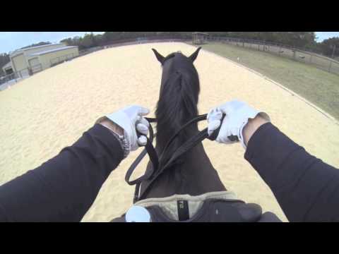 What are double reins used for?