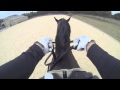 Virtual View: How To Hold & Use Double Bridle Reins