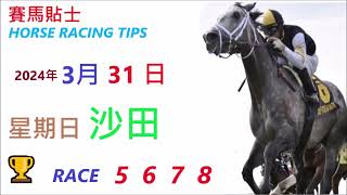 「賽馬貼士」🐴  2023 年 3 月 31 日 沙田🐴    香港賽馬貼士  HONG KONG HORSE RACING TIPS  🐴 RACE  5  6  7  8